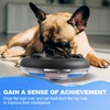 Interactive Dog Chasing and Slow Feeder Toy, Music and Lights,