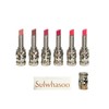 Sulwhasoo Perfecting Lip Color 3g Lipstick (NO.460 Berry) / 설화수