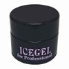 ICE GEL Color Gel ABLACK Star Galaxy Gel 1148 3g