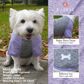 KYEESE 2 Pack Dog ShirtsQuick Dry Breathable Lightweight Protects Against Foxtails Dog T-Shirts with Reflective Label Puppy Shirts for Small Dogs Sun Protection, Purple+Grey, M