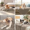 luciphia Waterproof Dog Blanket, Washable, Pet Blanket for Large, Medium