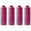 Set of 4 Pieces: Number Three Mulliam Treatment B, 21.2