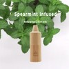 Ayrlume Aroma Spearmint Personal Air Filter 2 Pack - Infused