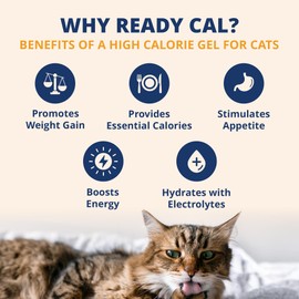 Under the Weather Pet Electrolytes Ready Cal Plus Gel for Cats | Vet-Formulated High-Calorie Supplement for Cats & Kittens | Promotes Weight Gain & Boosts Energy for Sick Felines | 3.5 Oz Tube Pack