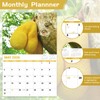 Gag Gifts - 2026 Wall Calendar, White Elephants Natures's Butts,