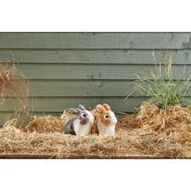 Living Nature AN412 Soft Toy Pet Rabbit 3 Designs, Small