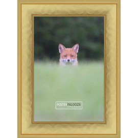 Poster Palooza A3 11.7x16.5 Contemporary Gold Complete Wood Picture Frame with UV Acrylic Plexiglass, Foam Board Backing & Hardware Included