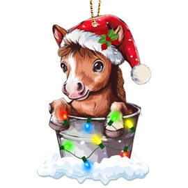 34HD Horse Gifts for Christmas, Cute Horse Christmas Ornament for Trees Wooden 2 Side Printed, Farm Animal Decor, Xmas Birthday Gifts for Horse Lovers Women