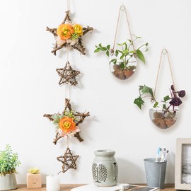 2 Pack Terrariums Container Flower Planter Hanging Glass for Hydroponic Plants Home Garden,Home Office Living Room Decor,Oblate Shape