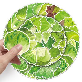 Pack of 50 Salad Stickers Pack Lettuce Sticker Set Waterproof Vinyl Stickers for Laptop Children Cars Motorcycle Bicycle Skateboard Luggage Suitcase Computer Sticker Graffiti Decal