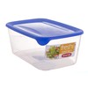 CURVER 2045137 Fresh & Go 3 Litres Cool Box Plastic