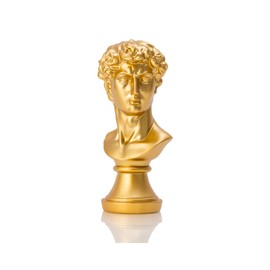 BOIHEGU David Statue Home Decor, 8 inch Resin Gold David Bust Statue, Michelangelo's David Replica, Greek Mythology Bust Sculpture Gifts
