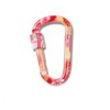 DYZD D Ring Key Holder, Duralumin Carabiner, Outdoors