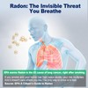 GZAIR Radon Detector for Home, with WiFi,10-Min Result,508-Day Data Storage