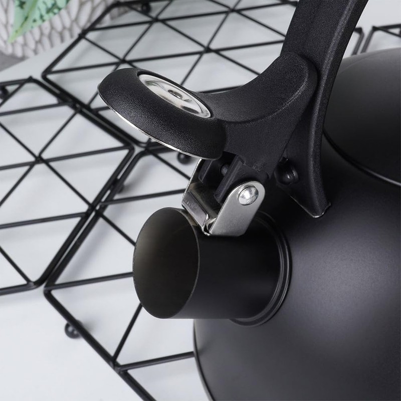 Kettle Kettle Whistling Kettle Stainless Steel Black 2 L