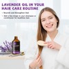 MAYJAM Lavender Essential Oil for Diffusers - Huge 3.38 Fl