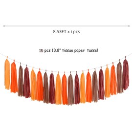 Brown Burgundy Orange Party-Decorations Tassel-Garland - 20pcs Fall Autumn Thanksgiving Harvest Tassels, Rustic Boho Wedding Birthday Baby Shower Decor
