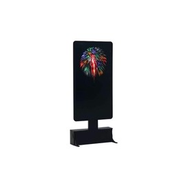 Lemax Village Collection Multi-Color Fireworks #74256