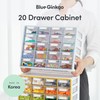 Blue Ginkgo Small 20-Drawer Cabinet – Stackable Clear Organizer for