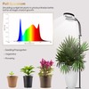 GLOWRIUM Grow Light with Stand,2-Head LED Plant Light for Indoor