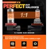 QIFANSAIL 2 Pcs Accord Fog Lights Bulbs Compatible with 2006-2022