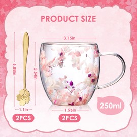 Auch 2Pcs Double Wall Glass Coffee Mugs, Dried Flowers, Aesthetic Dried Flowers Cups with Handles for Cappuccino Tea Latte Juice, with 2 Spoons (2Pcs)