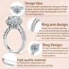 Elio Passero 2CT Women's Moissanite Engagement Rings Clarity Moissanite Rings