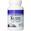 Planetary Herbals Full Spectrum Kudzu Tablets, 120 Count