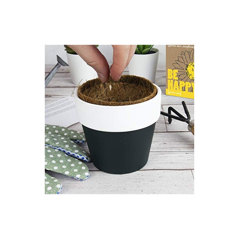 Gift Republic Ltd Grow Me Snowman, Multi