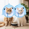 YBEATY Cat Cone Collar Cute Cat Recovery Collar Breathable Adjustable