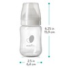 Evenflo Feeding Balance + Wide Neck Glass Bottles - 6oz