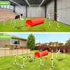Dog Agility Course Backyard Set, Dog Agility Equipment, Pet obstacle