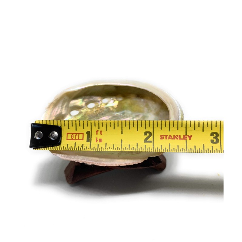 Palo Santo Cones Pack of 5,Red Abalone Shell 2-3",Wooden Tripod