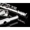 GLORY Glory Closed Hole C Flute With Case, Tuning Rod