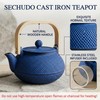 SECHUDO 30.4oz Small Tea Kettle, Blue Cast Iron Teapot with