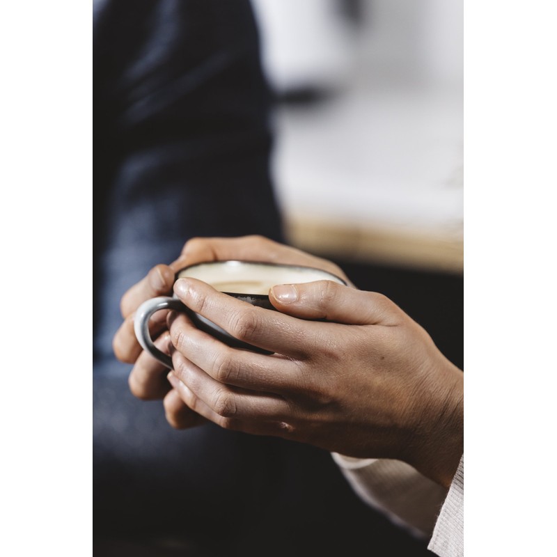 Espressotoria Milk Frother