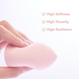 Makeup Sponge with Case, Foundation Sponge Set Beauty Blender,Dry & Wet Use for Powder Cream or Liquid Application (4 Pcs)