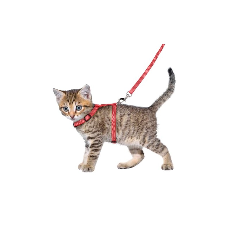 Flamingo Kitten Harness with Lead - Aiwa | Adjustable (15-25cm,