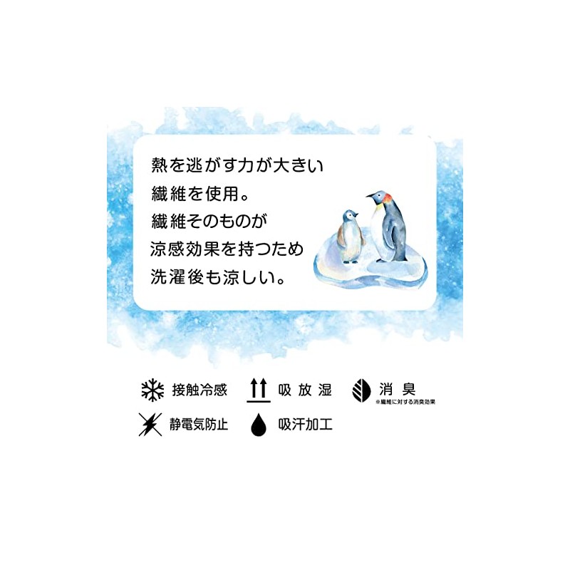 Atsugi FS5013 Women's Socks, Cheri-Beju, Sheri-Veiges