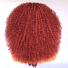 Lizzy Long Curly Lace Front Wigs For Black Women Pre Plucked With Baby Hair Curly Lace Front Wigs 13×4×1 HD Glueless Wig Kinky Curly Afro Synthetic Wigs 17inch (Copper)