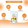 Herbal Magic's Organic Green Papaya (CARICA) Fruit Powder (Half Ripened)