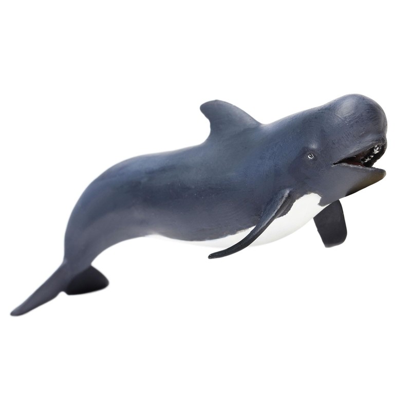 Safari Pilot Whale