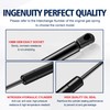 Rear Liftgate Hatch Tailgate Struts Lift Support Shocks for Lexus