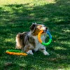 KONG Twistz High-Viz Ring - Durable Fetch and Tug Toy