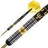 WINMAU Bobby George 24 gram Tungsten Darts Set with Flights