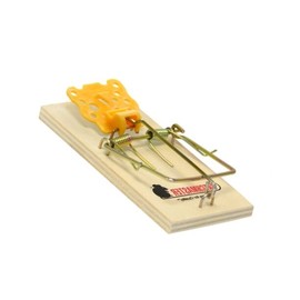 Catchmaster Mouse Snap Trap 12 Pack Wood Mouse MiceTrap Fast Trapping of Mice