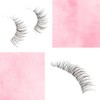 False Eyelashes Wispy Lashes Natural Look Fake Eyelashes Cat Eye