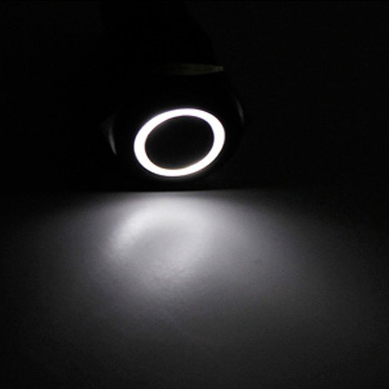 E Support 19mm 12V 3A Car White LED Light Angel