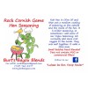 Burt's Bayou Blends Rock Cornish Game Hen Seasoning, Burt's Bayou