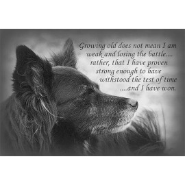 Inspirational dog refrigerator magnet  3 1/2"x 5" Made in Usa